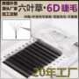 嫁接开花新款柔软假睫毛