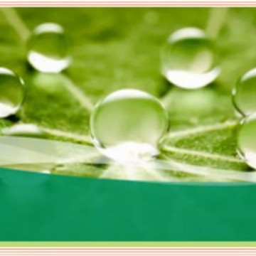 �ձ����C6����������TG-5671����ˮ��̼��ˮ���ͼ�