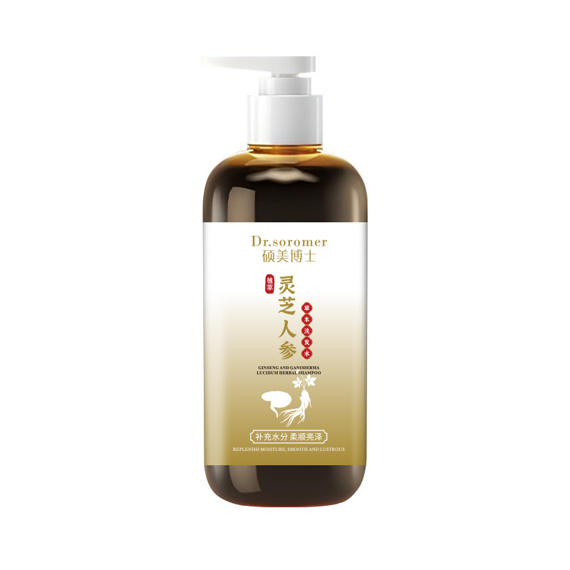 Dr. Shuomei ganoderma ginseng champú jengibre polygon root extracto de hierba limpia y control de aceite fabricante de champú