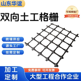 TGSG高强度拉伸塑料土工格栅厂家道路铁路路基加固双向土工格栅