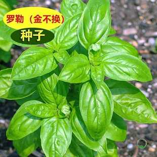 ���羳��؛�����~�_�շN�����Կ�ʳ���߲���ݷN���ѷN��ȫ���_��