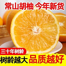 ���Ǯ�����ɽ���֮a��ֱ�l��Ƥ�Ϙ�����S�����ӑ���ˮ��