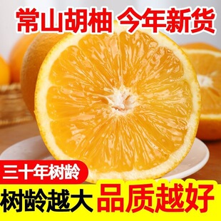 ���Ǯ�����ɽ���֮a��ֱ�l��Ƥ�Ϙ�����S�����ӑ���ˮ��