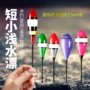 溪流迷你小鱼白条鱼漂