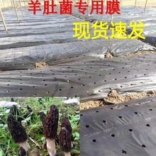��Ǿ����ô�׵�Ĥ���r���߮aȫ����PE���ϲ����ر����r�ô���