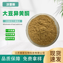 现货供应大豆异黄酮 营养强化剂大豆胚芽提取物食品级大豆异黄酮