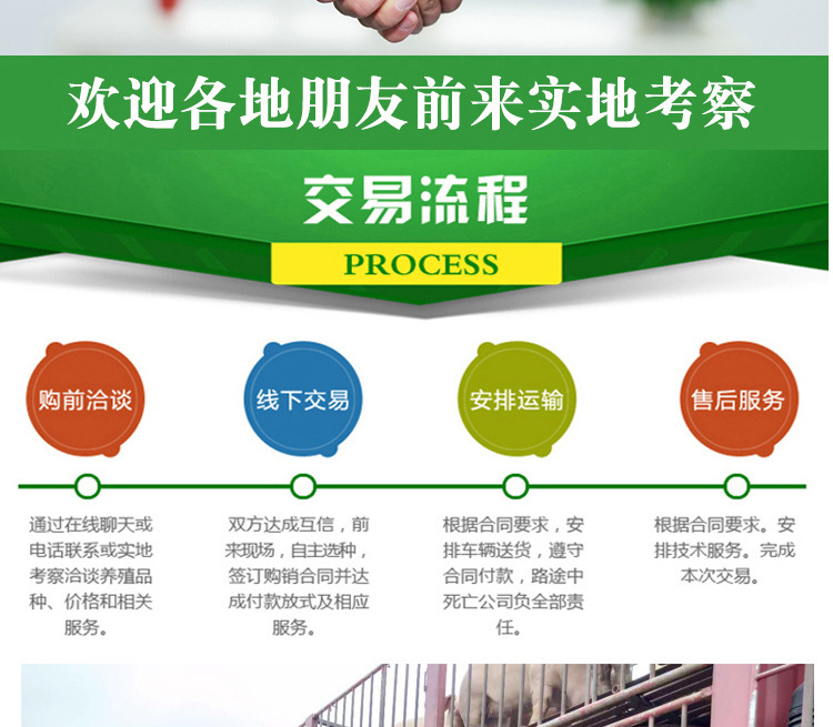 一键复制_20230313102759