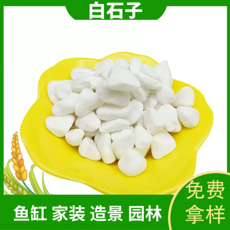 厂家供应庭院造景铺面水洗机制白石子水族装饰抛光白鹅卵石白石子