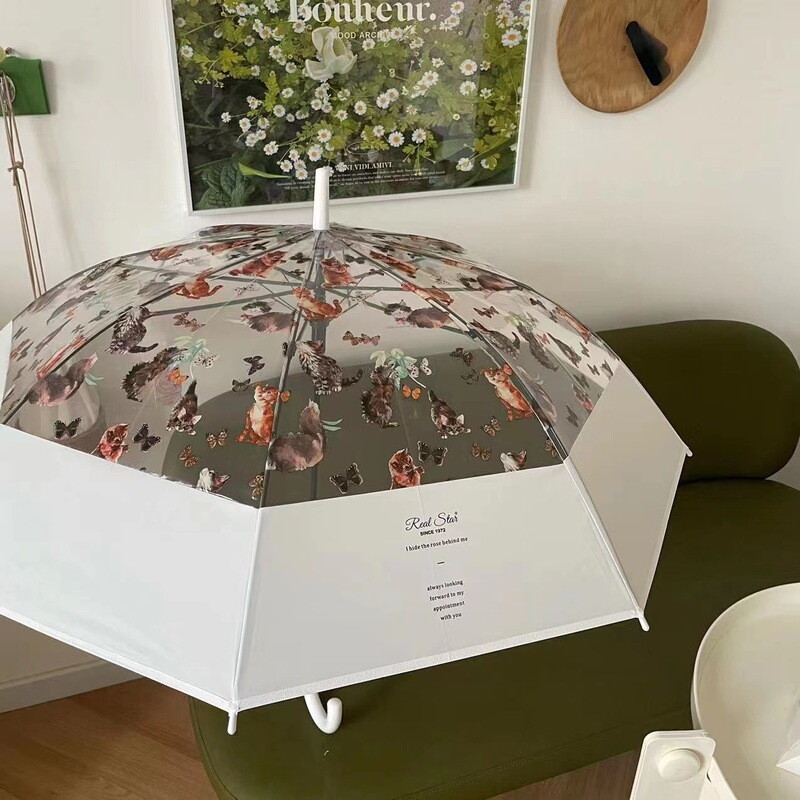 Spot wholesale small red book with oil painting cat transparent umbrella automatic long handle umbrella color plastic umbrella umbrella