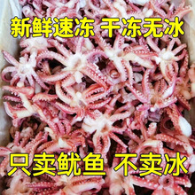 小鱿鱼须新鲜冷冻三去鱿鱼头八爪须净重无冰衣烧烤餐饮食材批发LD