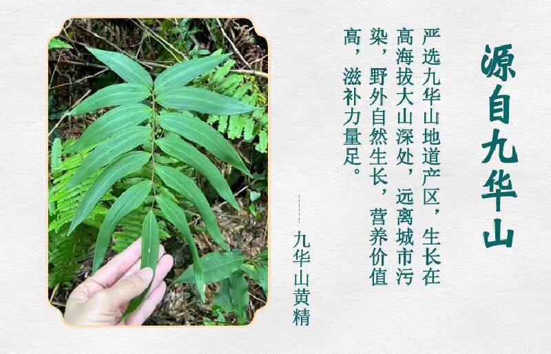 Jiu Hua Shan Prepared Huang Jing Slices (Polygonatum sibiricum) — Nine-Steam-Nine-Sun Dried Food Herb for Tea, Soup & Wine key features