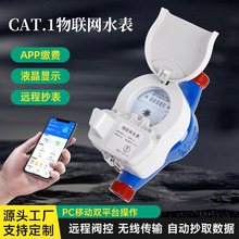 CAT.1���Wˮ��S�����l��I����NB-IoT���W�h�̳����y��ˮ��