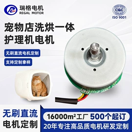 微型电动机;家电用电动机