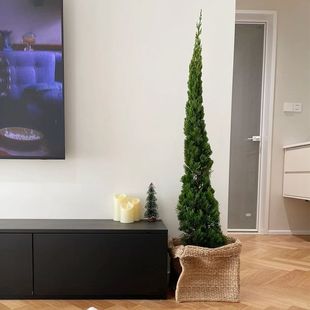 �r������ˮ��ؘ��}�Q��ˮ�B�{����ins�L���B�m��1�L�҃�����