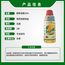 @캣 @좰} و@Ǹsݳ݄rșl]