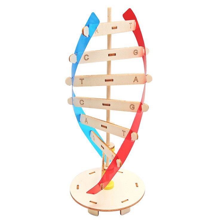 Fuente de fabricación de niños de la ciencia y la tecnología de los estudiantes de primaria pequeños experimentos pequeños inventos kits de materiales de ayuda didáctica