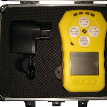 WL-3000(4)   多功能气体检测报警仪 多功能气体探测器