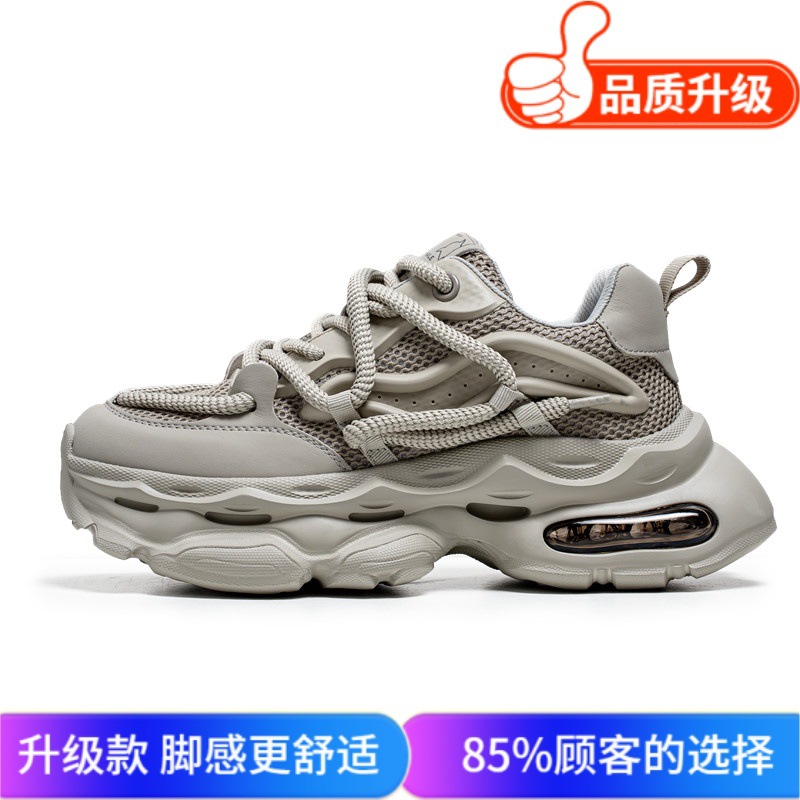 그레이 업그레이드 모델