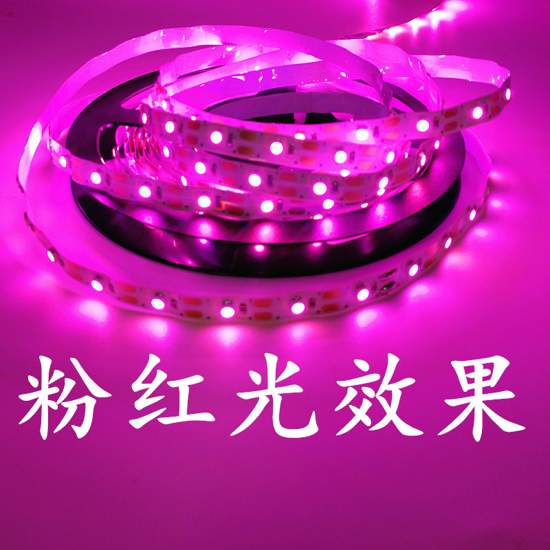 IMG_20190529_234231_副本