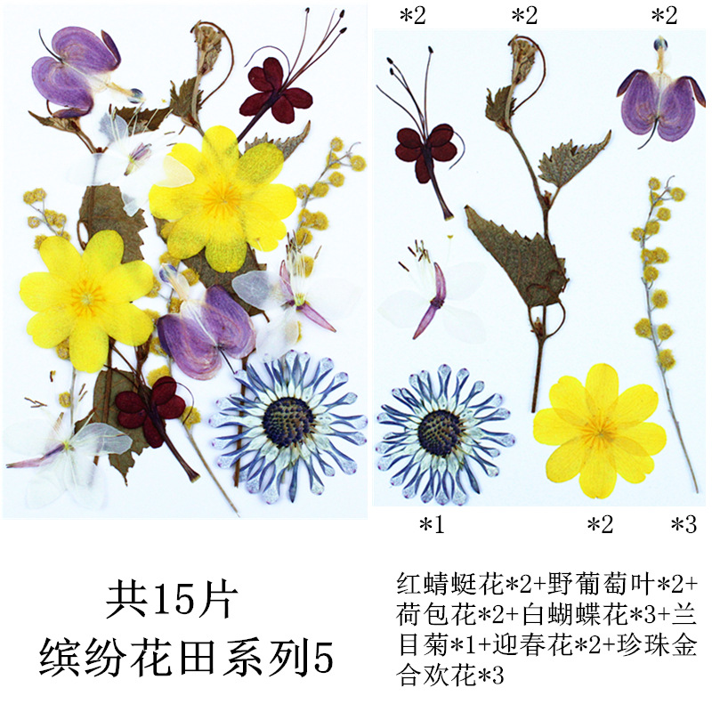 다채로운 꽃 밭 조합 5