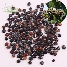 �N���в�ș�ķN�� �՗��N�� �uצ�� �uצɏ ����� �m�Y�� ɽ�ֹ�