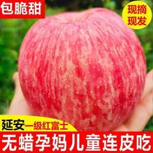 陝西洛川紅富士蘋果正宗脆甜糖心蘋果新鮮蘋果5/10斤當季水果批發