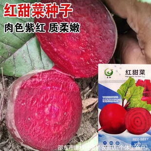 �t��˸��N���ϲ��^���ﲥ�N��˷N���r����Ʒ�N���������߲�