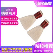 �S�����l��������ֹ������JȔ���ކ����Ƭ�������������������