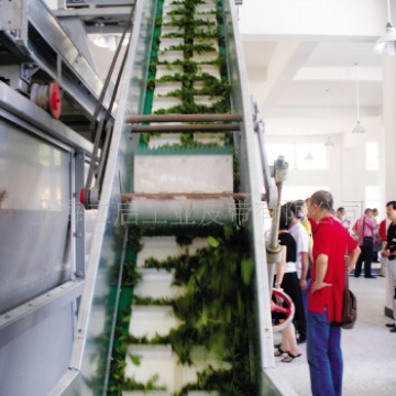 供应 茶叶机械输送带\杀青机皮带、茶叶提升机输送带 果脯提升带