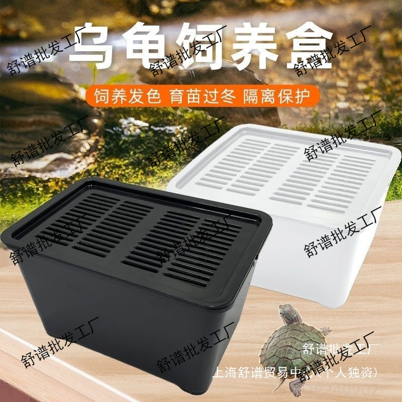 乌龟发色盒幼龟孵化饲养盒蛋龟加温黑白隔离龟苗饲养套盒带沉淀板|undefined