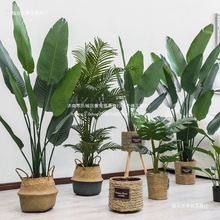 ���Ԕ[���҃������~�Gֲ�٘��b����˽����Wֲ����������B�񽁻�