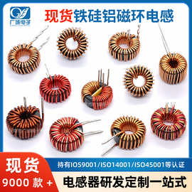 铁硅铝磁环电感 065125/068125 环形绕线DC储能插件套管 立式卧式