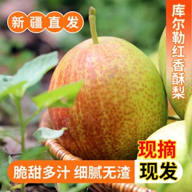 红枣干;葡萄干;其他水果