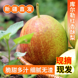 �½��젖�ռt���������䑪�������Fժ���rˮ���ЋD����С�������l
