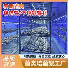 镀锌管焊接架大棚方舱种植羊肚菌组培架植物组织培养架食用菌层架