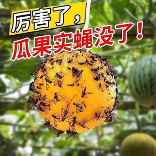Fly Trap Ball with Base for Kitchen and Bathroom, Sticky Small Flying Insects, Supports Labeling and Dropshipping, Individually Packaged, Cross-Border Hot Product