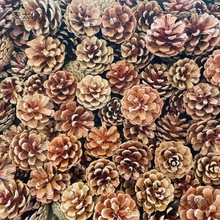 �����b��ɹ����]100���ɹ��b��ֹ������}�Q�ɻ��Ĕzdiy����̫��