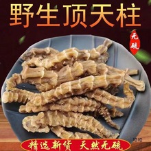 顶天柱 地参 虫草参 回春草 淫花果 袋装 罐装 瓶装 电商一件代发