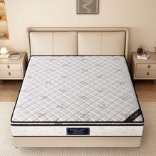 ��ȻS�;����S�鴲�|���ۯB��ͯ�؉|�o��ƫӲ���׉|��