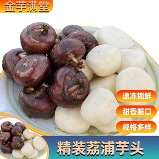 荔浦马蹄A果新鲜自种马蹄新鲜荸荠特色蔬菜清甜爽口马蹄批发