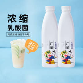 广禧乳酸菌1.15kg 浓缩优酪多酸奶饮料商用奶茶饮品店原料