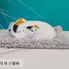Mother and child two-color cat (can bark + plush pad)~Limited time special offer, grab it now