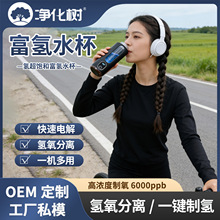 Դ�^���SCarl����ˮ���X�Ͻ�߶˸��̄��͸ߚ��ȸ���ˮ���ƚ䱭