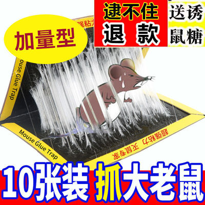 强力粘鼠板老鼠贴灭鼠捉抓大老鼠夹捕鼠神器沾老鼠胶器家用一窝端|ms