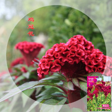 �u�ڻ��N���ļ������N���׻��ͺ��޸����Ի��ܰ��UͥԺ�����u����