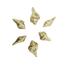 �S�~���� ��� ���T �� ����� ���� �մ� ���~�� �錚�� ����