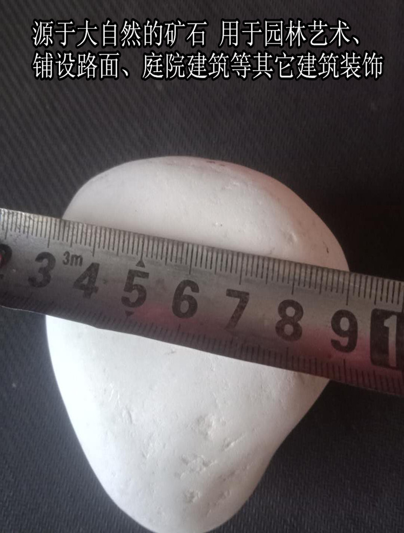 白色卵石5-8公分1