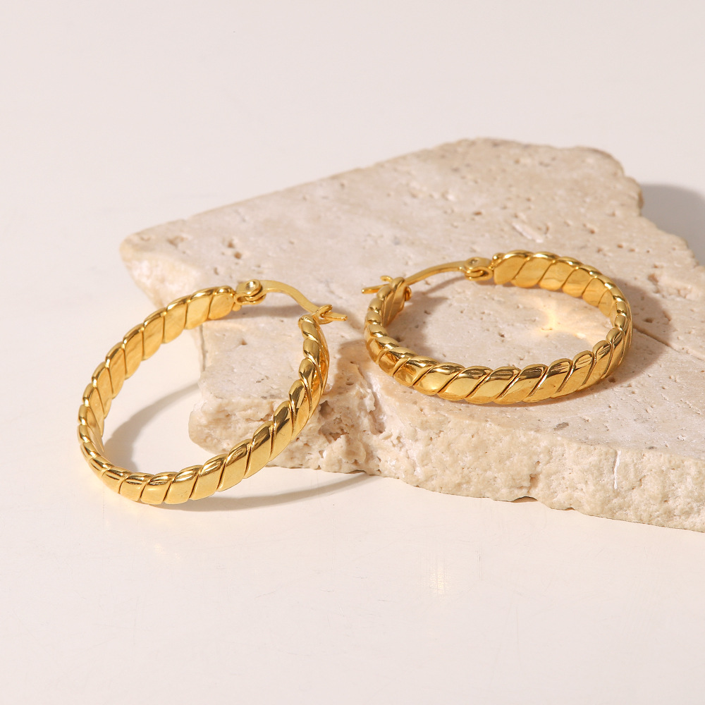 Exaggerated Geometric Stainless Steel Plating Earrings 1 Pair