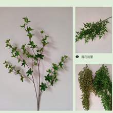 ���������������R�~��c�b��X�~�Ҿӻ�ˇ�廨������P�Gֲ