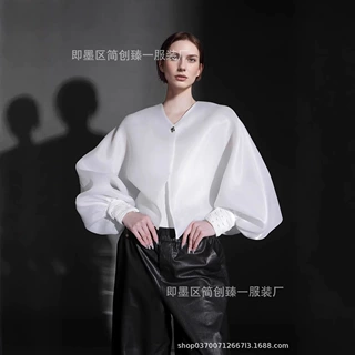 新中式阔版灯笼袖罩衫网纱简约短外套女高级感小众设计衬衫春季